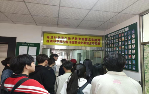 图片 3 图片 3